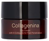 COLLAGENINA With 6 Collagens, Grade 2, Day sejas krēms, 50 ml