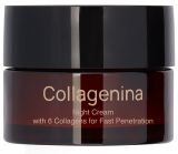 COLLAGENINA With 6 Collagens, Grade 2, Night sejas krēms, 50 ml