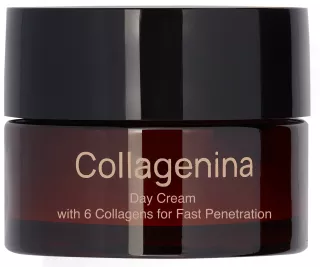 COLLAGENINA With 6 Collagens, Grade 3, Day sejas krēms, 50 ml