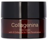 COLLAGENINA With 6 Collagens, Grade 3, Neck krēms, 50 ml