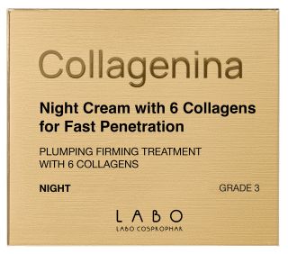 COLLAGENINA With 6 Collagens, Grade 3, Night sejas krēms, 50 ml