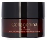 COLLAGENINA With 6 Collagens, Grade 3, Night sejas krēms, 50 ml