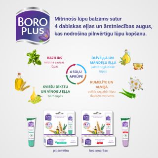 BORO PLUS Healthy Skin Fresh Mint lūpu balzams, 10 ml