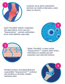 FLEXISEQ For Joint Wear & Tear ziede, 50 g