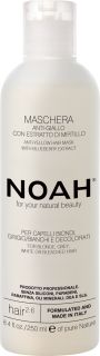 NOAH 2.6 Anti-Yellow maska matiem, 250 ml
