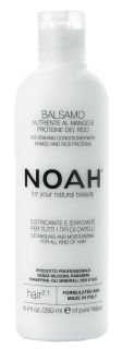 NOAH 2.1 Nourishing, Mango matu kondicionieris, 250 ml