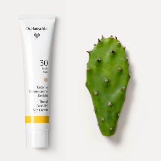 DR.HAUSCHKA Tinted Face Sun SPF 30 saules aizsarglīdzeklis, 40 ml