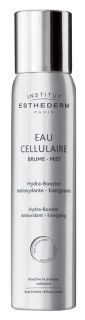 INSTITUT ESTHEDERM Brume-Mist sprejs, 100 ml