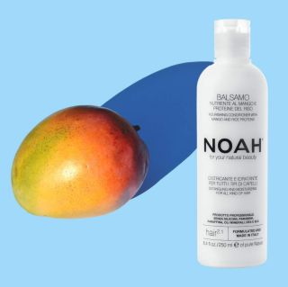NOAH 2.1 Nourishing, Mango matu kondicionieris, 250 ml