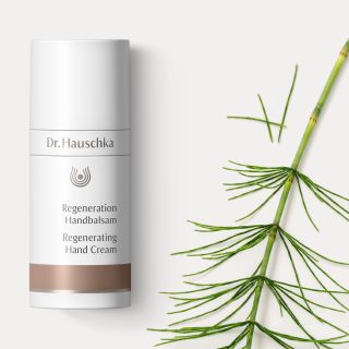 DR. HAUSCHKA Regenerating roku krēms, 50 ml