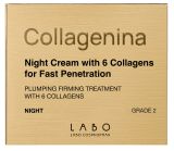 COLLAGENINA With 6 Collagens, Grade 2, Night sejas krēms, 50 ml