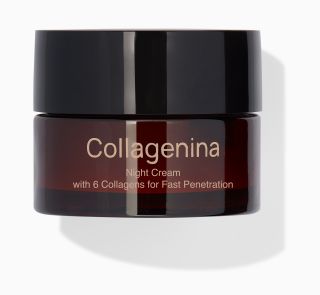 COLLAGENINA With 6 Collagens, Grade 3, Night sejas krēms, 50 ml