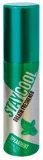 STAY COOL Spearmint Flavour elpas atsvaidzinātājs, 20 ml