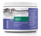 ACORUS BALANCE Collagen Joints pulveris, 400 g