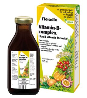 FLORADIX Vitamin B šķidrums, 250 ml