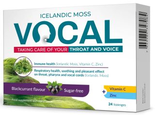 VOCAL Blackcurrant pastilas, 24 gab.