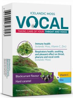 VOCAL Blackcurrant pastilas, 24 gab.